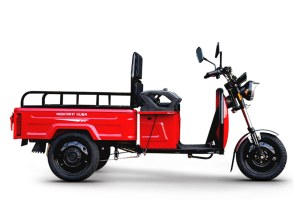 CARGO TRIO